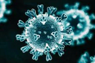 Enrockats 3 març 2020 Coronavirus.jpg