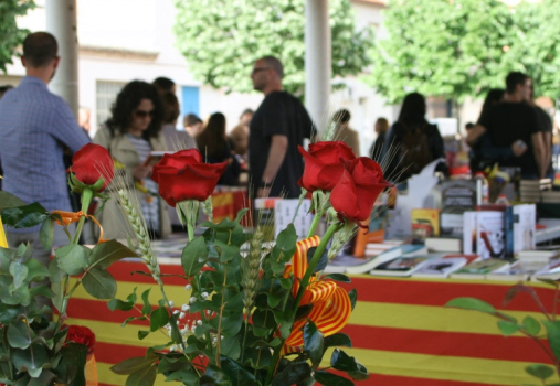 Un Sant Jordi a Palau-solità i Plegamans