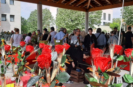 Sant Jordi 2023 Roses ret.jpg