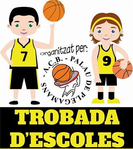 Bàsquet Trobada Escoles feb 2017