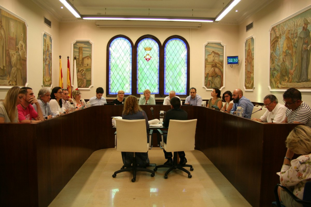 Ple maig 2017