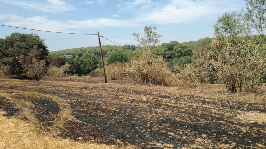 Punt d´inici incendi 4 jul 2017