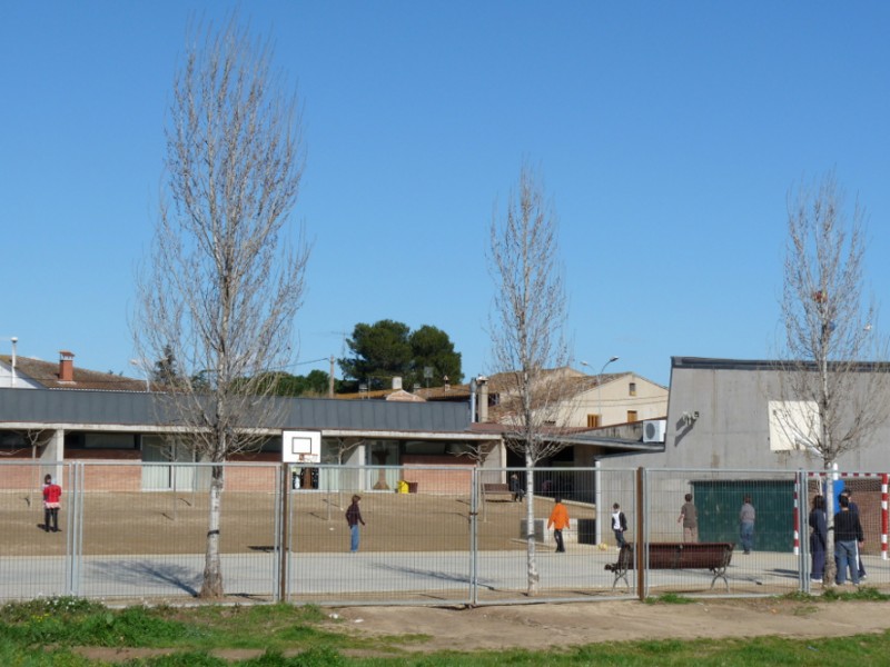 Escola Palau pati