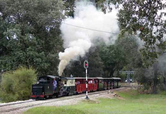 Tren de Palau vapor