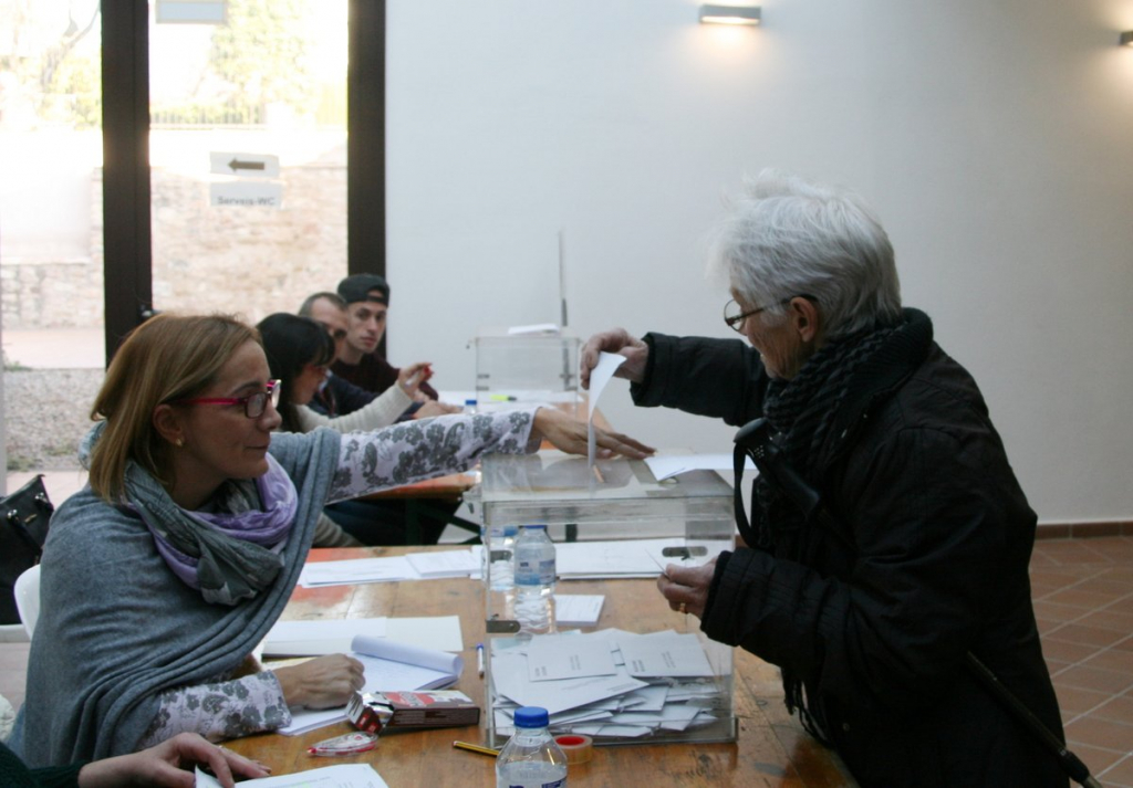 Eleccions 2017 dona votant