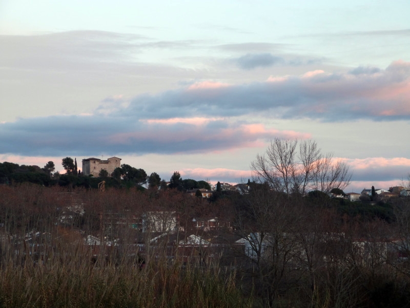 Panoràmica Palau hivern