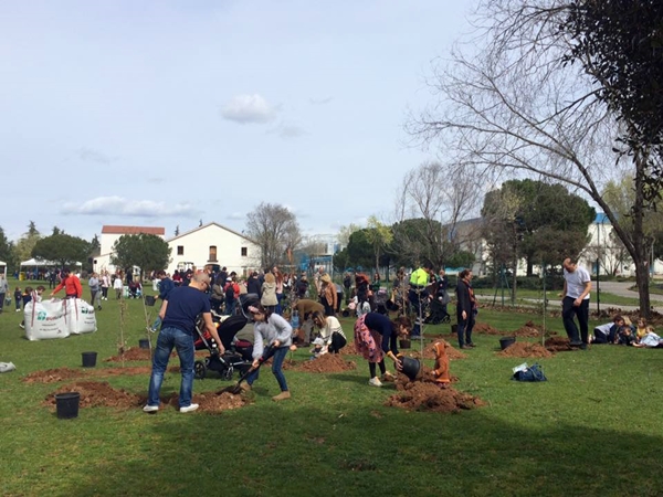 Plantada arbres 2018