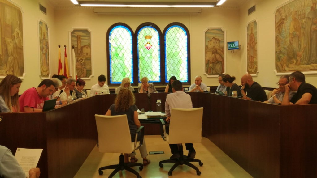 Ple Ajuntament 31 de maig 2018