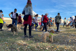 2a Caminada Canina 12 nov 2023 A ret.jpg