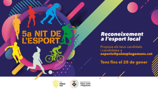 Cartell Nit de l'Esport 2024 ret.jpg