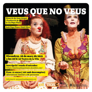 Cartell Veus que no Veus Pepa Plana 26 març 2021.jpg