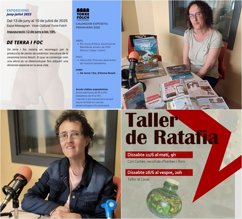 Collage El Meu Carrer 10 de juny 2025.jpg