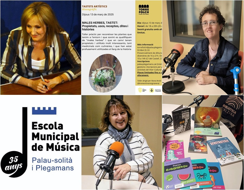 Collage El Meu Carrer 11 de març 2025.jpg