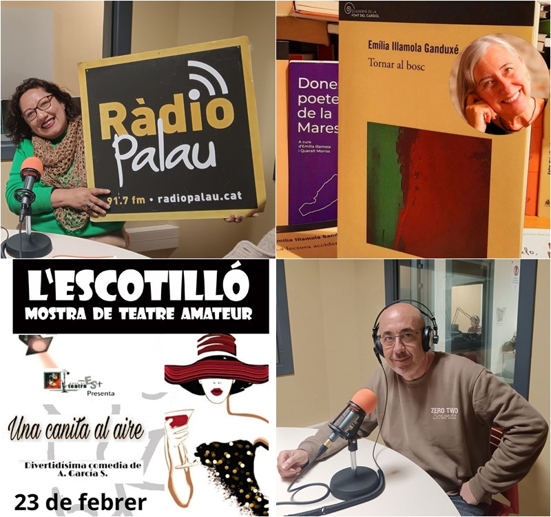 Collage El Meu Carrer 18 febrer 2025.jpg