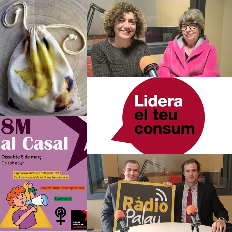 Collage El Meu Carrer 4 de març 2025.jpg