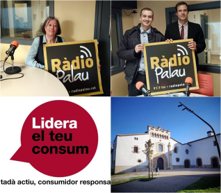 Collage El Meu Carrer 4 febrer 2025.jpg