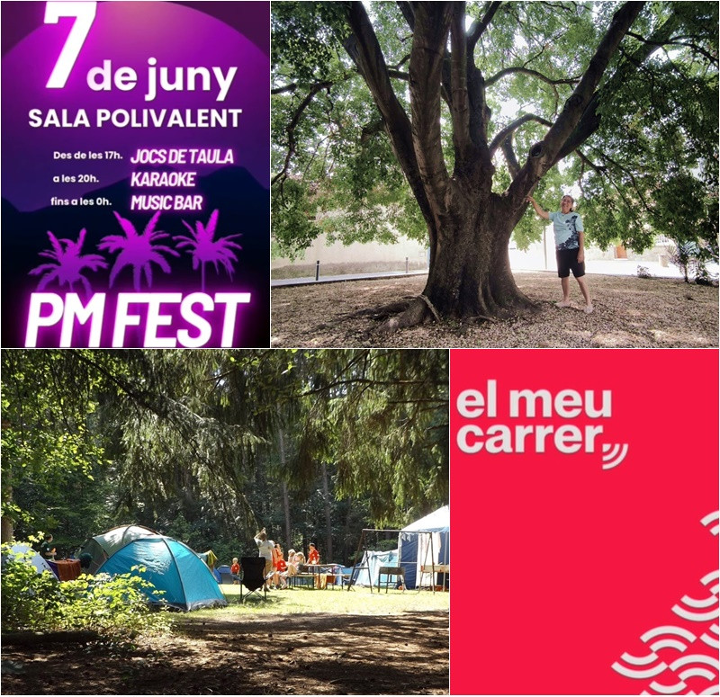 Collage El Meu Carrer 5 de juny 2025.jpg