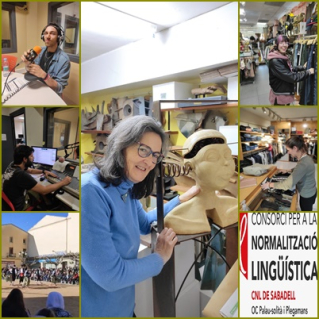 collage emc17.01.2023.jpg