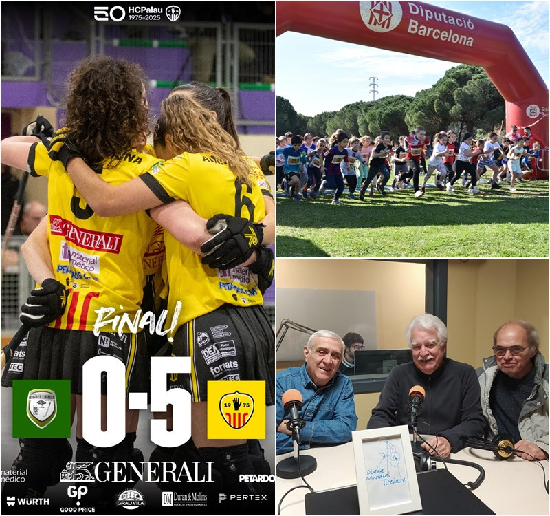 Collage Palau d'Esports 17 març 2025.jpg