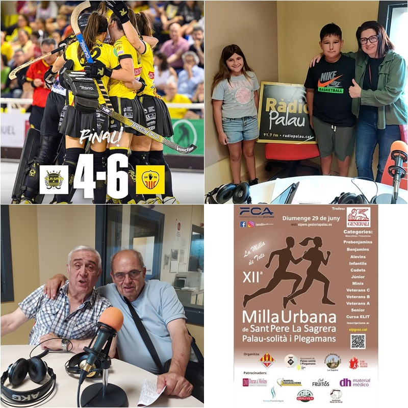 Collage Palau d'Esports 2 de juny 2025.jpg