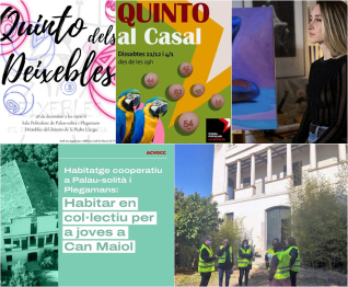 Collage Palau Noticies 10 desembre 2024.jpg