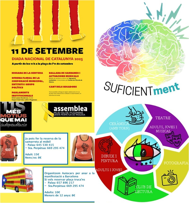 Collage Palau Notícies 10 setembre 2025.jpg