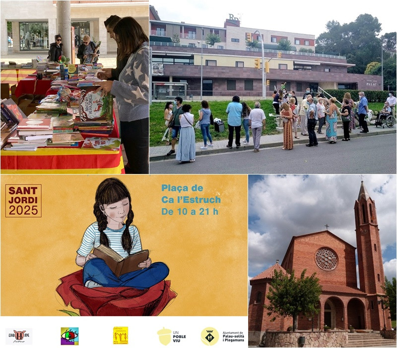Collage Palau Notícies 11 abril 2025.jpg