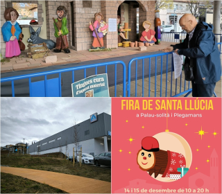 Collage Palau Notícies 11 desembre 20241.jpg