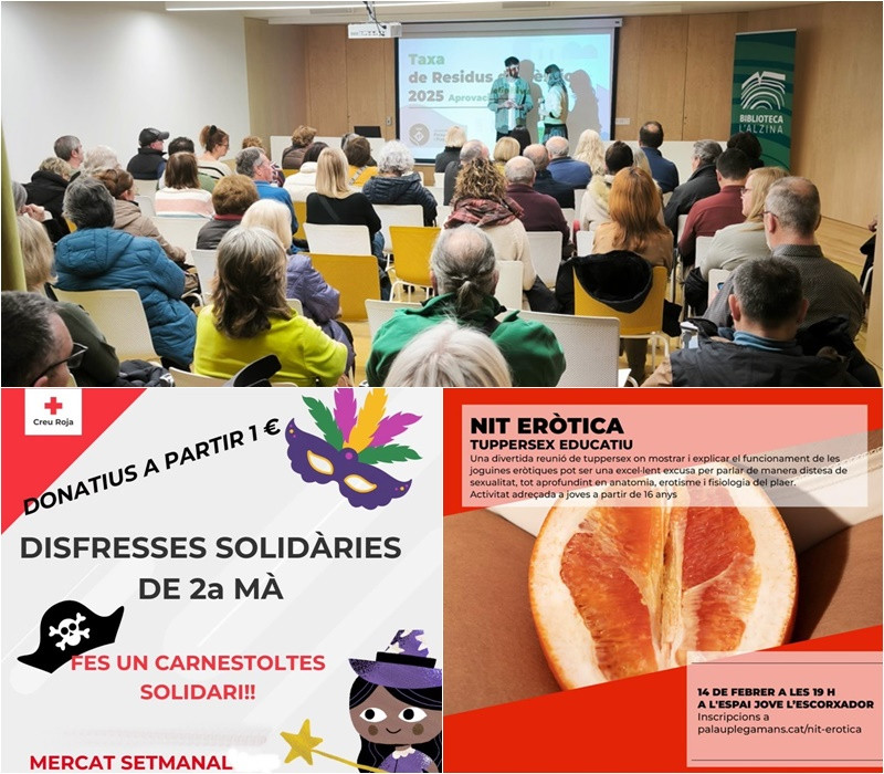 Collage Palau Notícies 12 de febrer 2025.jpg