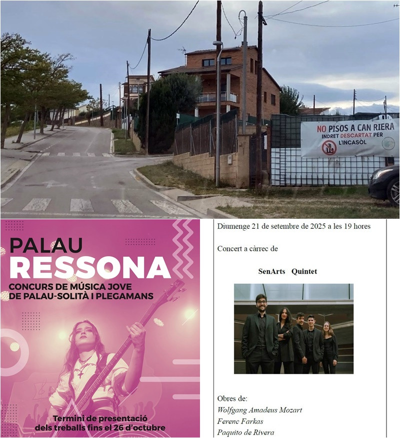 Collage Palau Notícies 19 setembre 2025.jpg