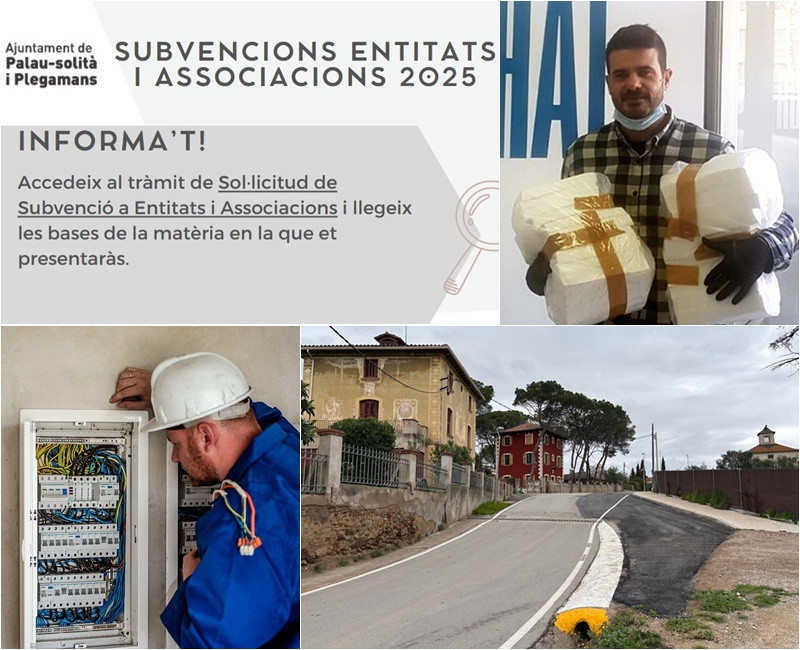 Collage Palau Notícies 2 d'abril 2025.jpg