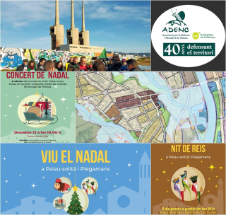 Collage Palau Noticies 20 desembre 2024.jpg
