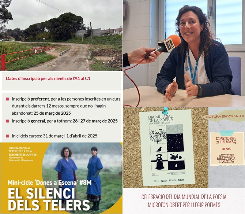 Collage Palau Notícies 20 març 2025.jpg