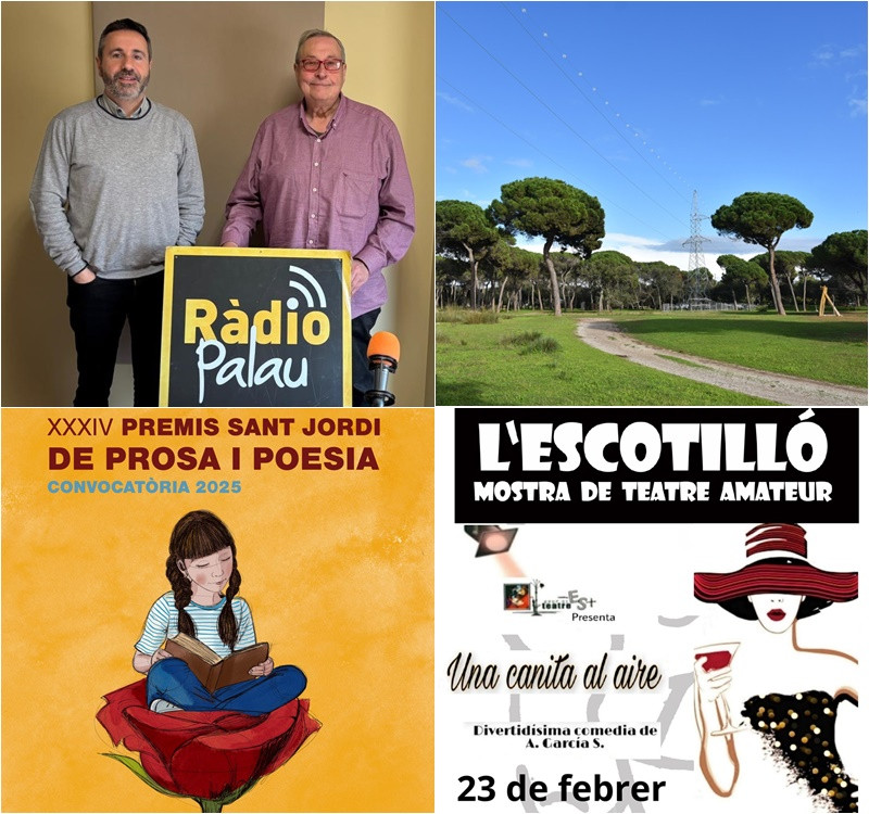 Collage Palau Notícies 21 de febrer 2025.jpg