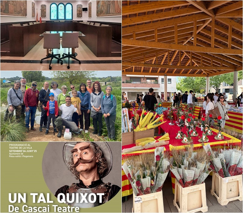Collage Palau Notícies 23 abril 2025.jpg