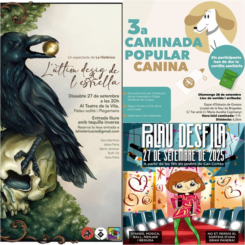 Collage Palau Notícies 23 setembre 2025.jpg