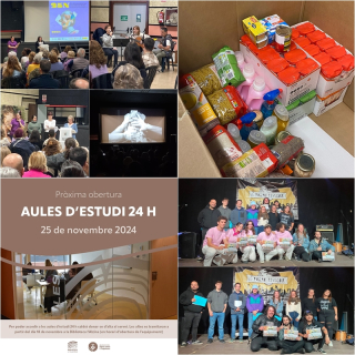 Collage Palau Noticies 25 novembre 2024.jpg