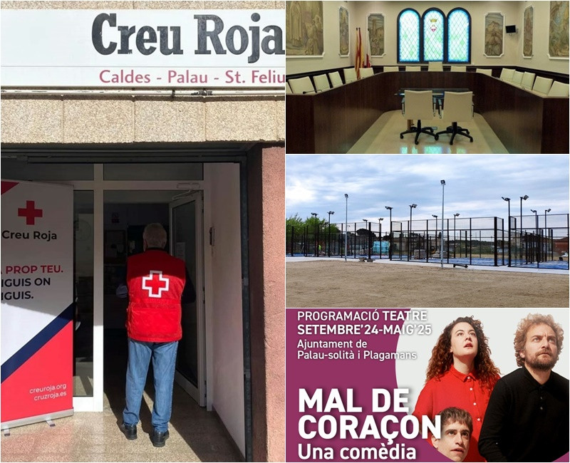 Collage Palau Notícies 26 de febrer 2025.jpg
