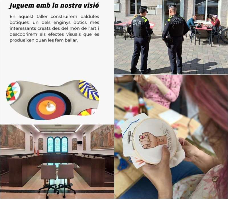 Collage Palau Notícies 26 març 2025.jpg