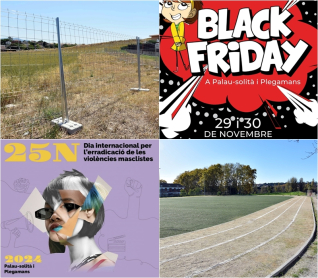 Collage Palau Noticies 26 novembre 2024.jpg