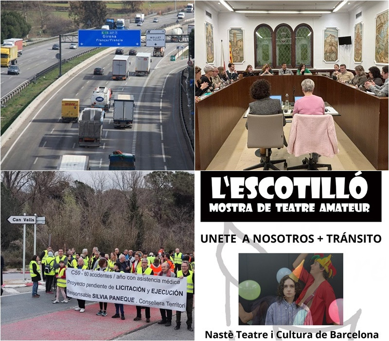Collage Palau Notícies 28 març 2025.jpg