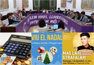 Collage Palau Noticies 29 novembre 2024.jpg