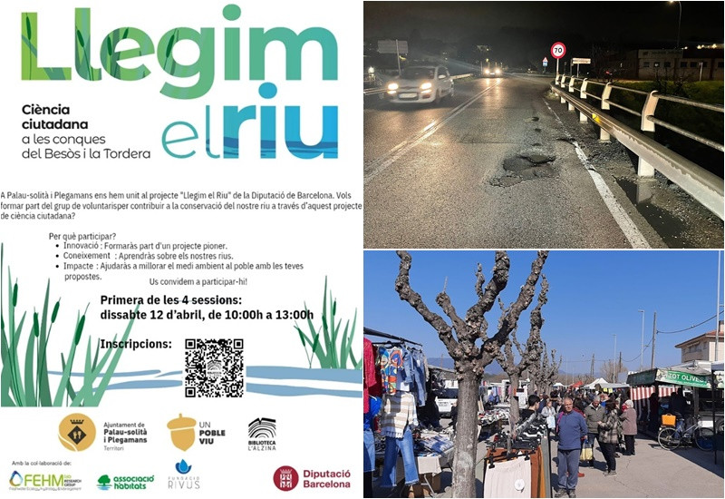 Collage Palau Notícies 31 març 2025.jpg