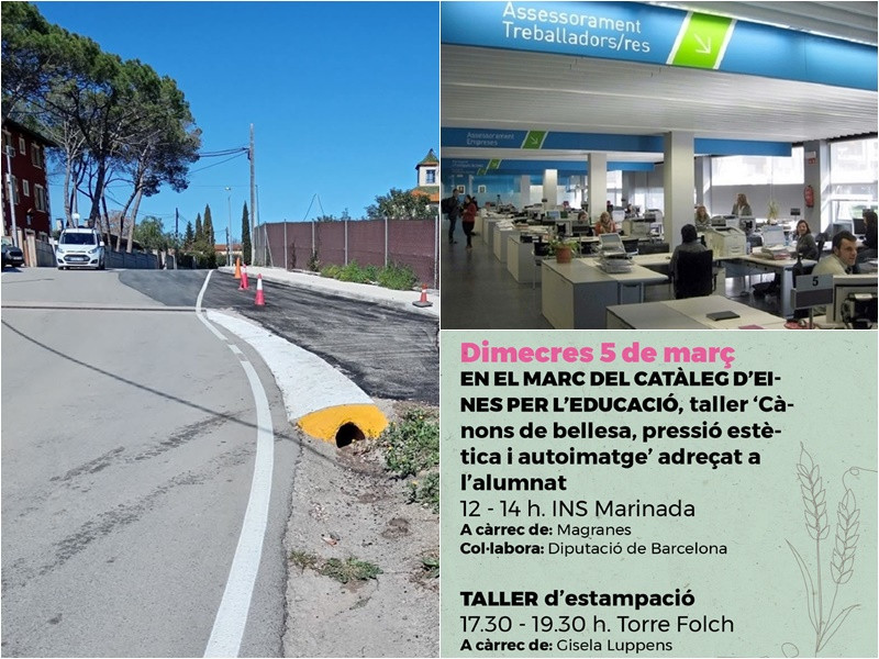 Collage Palau Notícies 4 març 2025.jpg