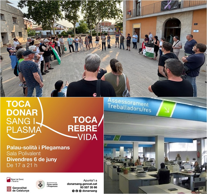 Collage Palau Notícies 5 juny 2025.jpg