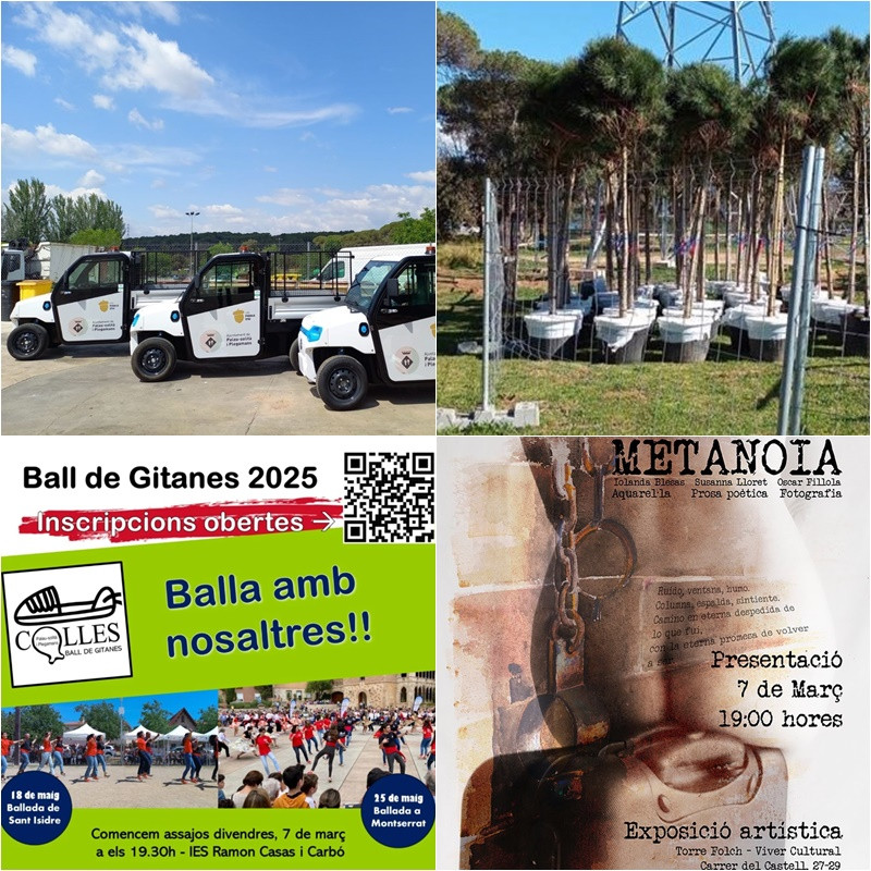 Collage Palau Notícies 6 març 2025.jpg