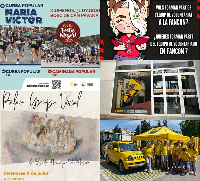 Collage Palau Notícies 9 de juliol 2025.jpg