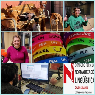 collage per EMC 20.12.2022.jpg
