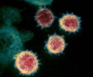 Corona Virus.jpg