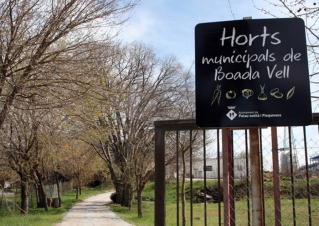 Entrada Horts Municipals 2.jpg